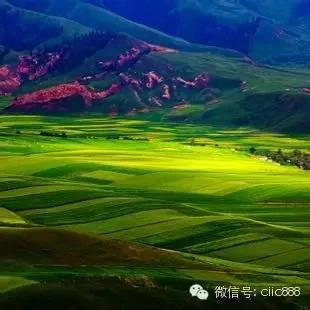 险资紧扣PPP资产证券化机遇产融结合三大策略