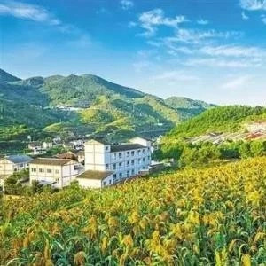 寻求PPP纠纷解决之道,最高法杨科雄:主要应用行政诉讼