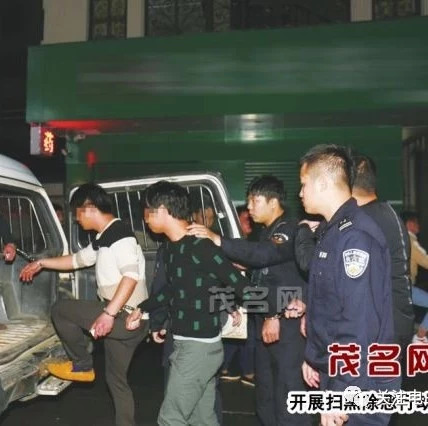 电白区扎实推进扫黑除恶专项斗争