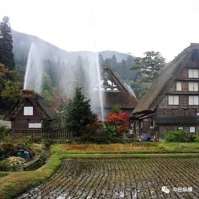 民宿新考验:如何在特色与标准之间找平衡!