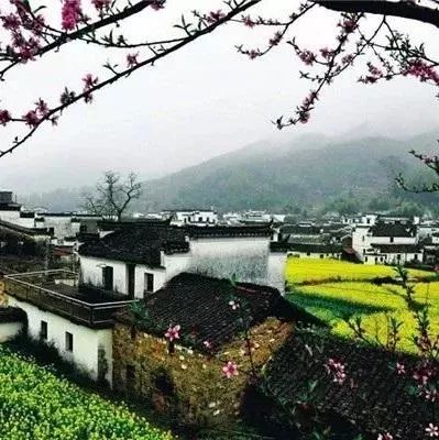 特色小镇蕴藏巨大隐忧,如何全盘规划