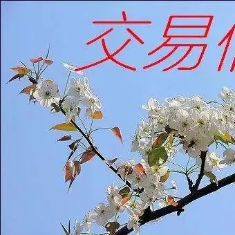 冠县清泉河治理三期工程及城南综合管廊PPP项目招标公告