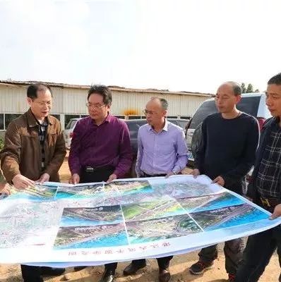 “探秘”即将建设的湛江大道