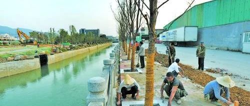 周末你在忙什么?福州有6000多人都在做这件事……
