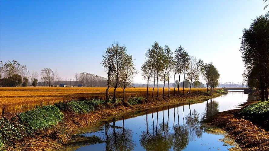 中办国办印发方案鼓励企业参与农村人居环境整治