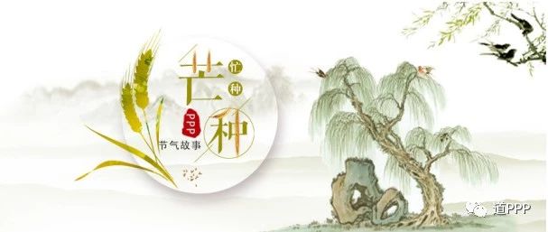 芒种时,在江苏——PPP的节气故事分享