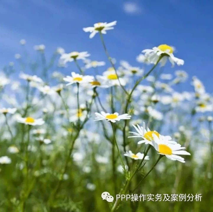 两部委:通过PPP进行畜禽粪污资源化利用