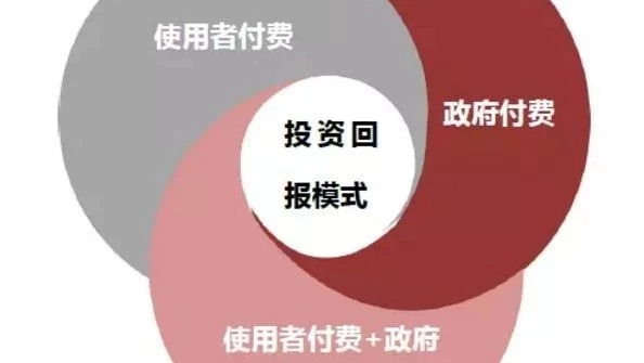 老潘PPP-PPP项目财政支出列支政府性基金预算亟待规范(242)