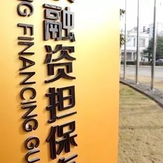 全国人大代表王玉玲:进一步规范地方政府融资和担保行为
