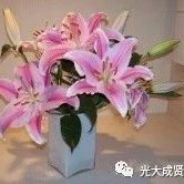 中非企业家热议未来合作:加强基础设施PPP建设,促进可持续发展