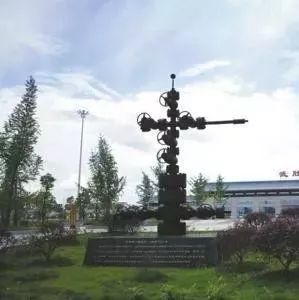 广安市-武胜县:引入PPP项目助力发展