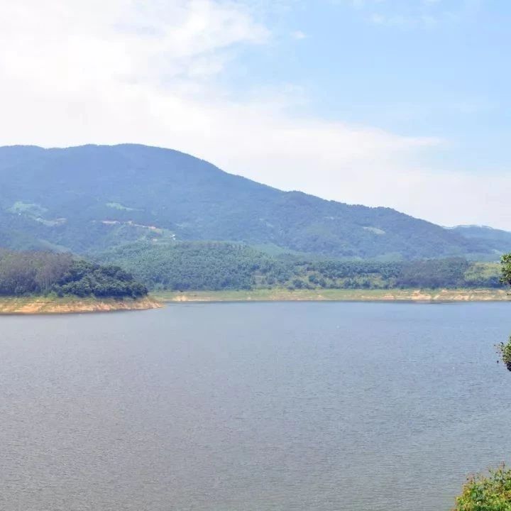 【头条】水更清、岸更绿、景更美!南靖的这些变化你看到了吗?