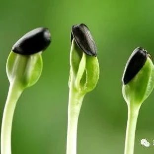 绿金分享丨政协委员严彬:建议加快推进绿色PPP项目