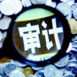 【审计】关于PPP项目的审计监督分析
