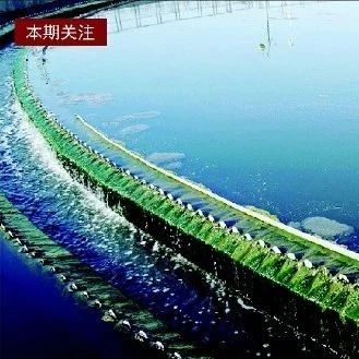 首单PPP资产证券化项目落地乌鲁木齐