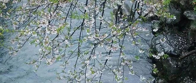 头条新闻|保持定力、规范发展,推动PPP行稳致远——王毅在北京大学PPP论坛上的发言