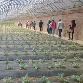 农业老板必看,史上最新25种经济模式