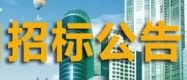 “阳逻之心”PPP项目纵七路、金屏路、施岗东路及横二路人行道工程火烧面花岗岩步砖、火烧面花岗岩盲道砖二次采购公告