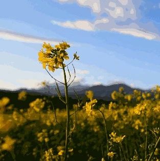 【行业资讯】园林工程PPP路在何方?看东方园林和三峡集团签订协议