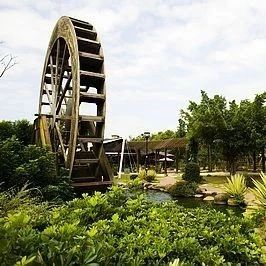 关于推动落实休闲农业和乡村旅游发展政策