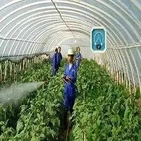 盘点2017中国农业20个关键词,一篇看懂中国农业新格局!