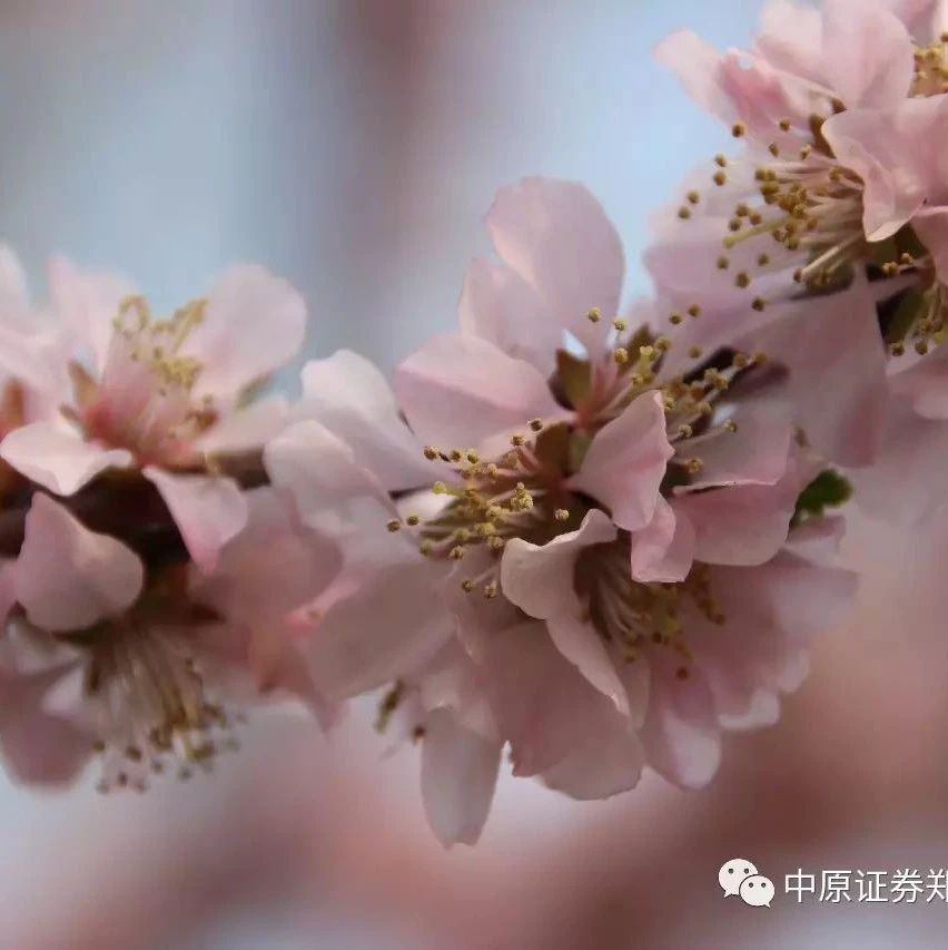 早安谍报:上周五欧美股市集体收涨