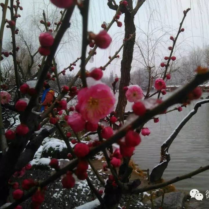 PPP项目中期评估以及绩效评价具体操作要求