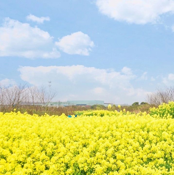 经验参考|如何鼓励引导社会资本参与乡村旅游提质升级?