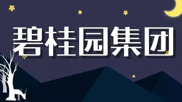 碧桂园集团招聘