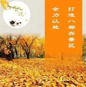 【践行“长兴精神”】小浦镇全力以赴打造八都岕景区攻坚动态(第五十六期)