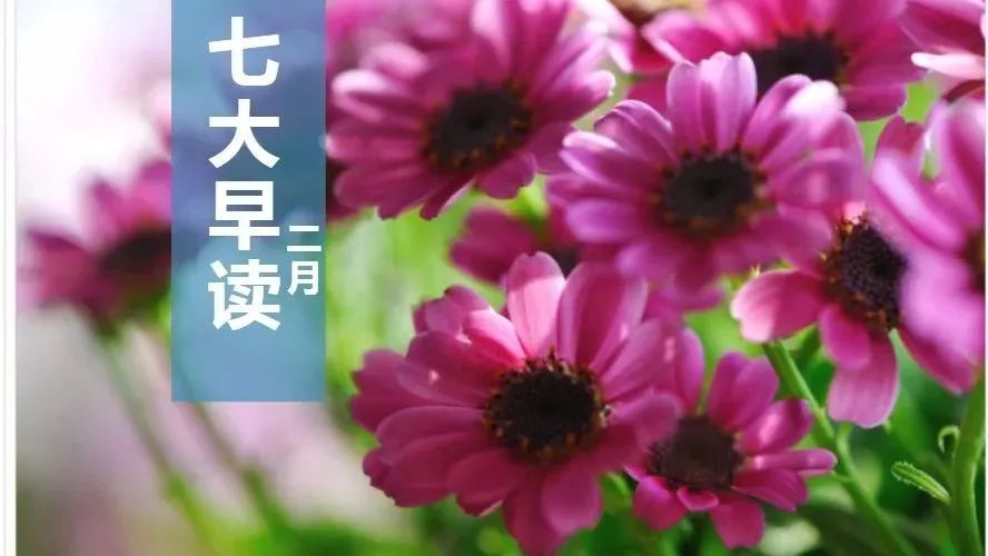 【新闻2018.2.6】中国发力整治农村人居环境,到2020年实现明显改善.