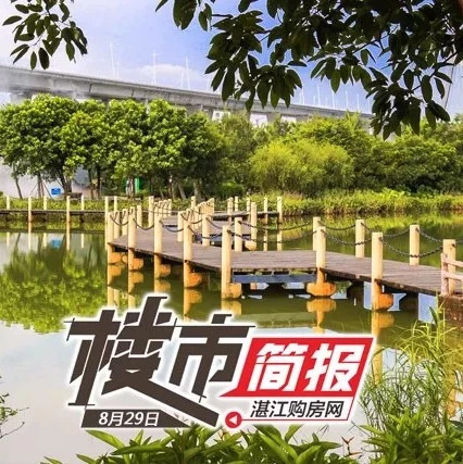 调顺跨海大桥PPP项目融资落地丨8月29日湛江楼市简报