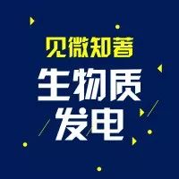 【拓局见微知著】生物质能耦合发电的产业政策与经营模式