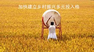 加快建立乡村振兴多元投入格局——财政部副部长胡静林详解2018年财政支农新看点