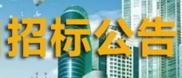 武汉阳逻经济开发区“阳逻之心”PPP项目水泥稳定碎石材料招标(框架集采)