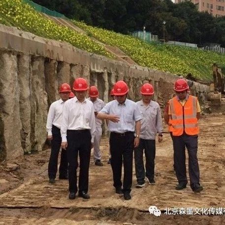 丽江总投资3.74亿垃圾焚烧PPP项目资审结果公示,都有谁?