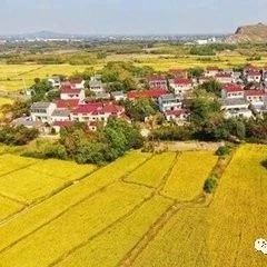 十三部门联合发文:鼓励社会资本通过PPP等方式参与乡村旅游建设田园综合体3大基础性难题:土地+社会资本的挑战+农民利益需保障