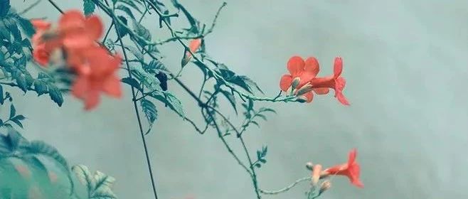砖济研究|PPP项目履约担保的设置及常见问题分析