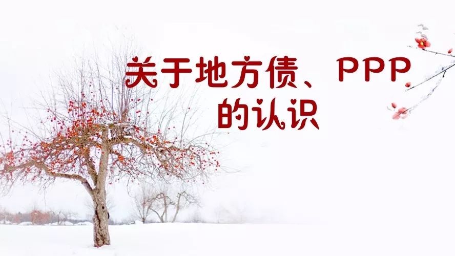 观点|贾康:关于地方债、PPP的认识