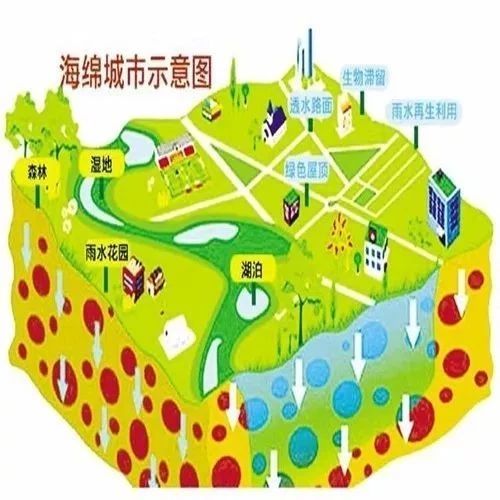 基于PPP模式的海绵工程应用研究