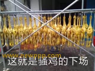 A-400081