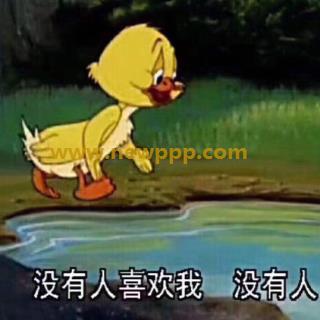 AA-736