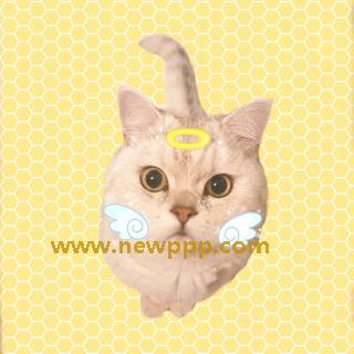 ABS-011