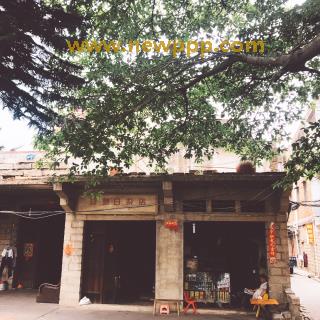 AGEMIX-129