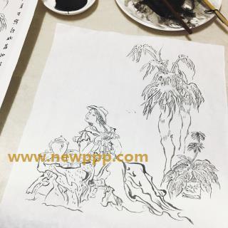 AMAM-004