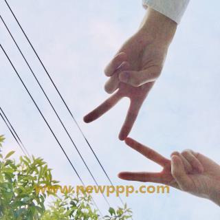 APAA-027