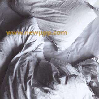 APAA-040