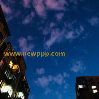APAO-005