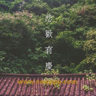 ATFB-046