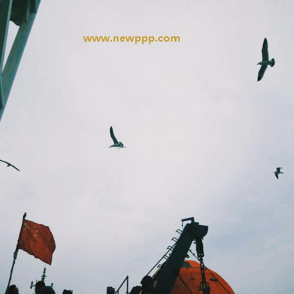 AYR-002